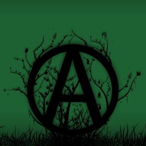 14079704_10209074533492935_6923329149888241821_n